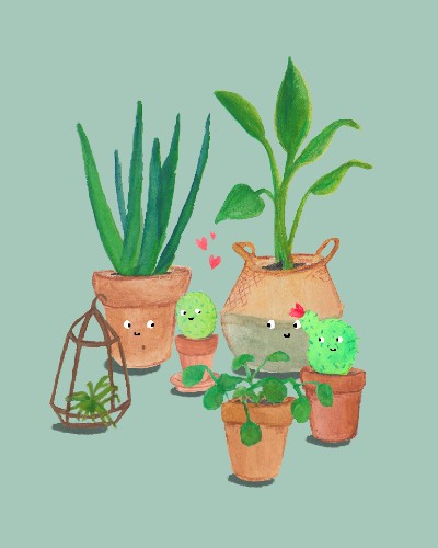 Cactus Illustratie